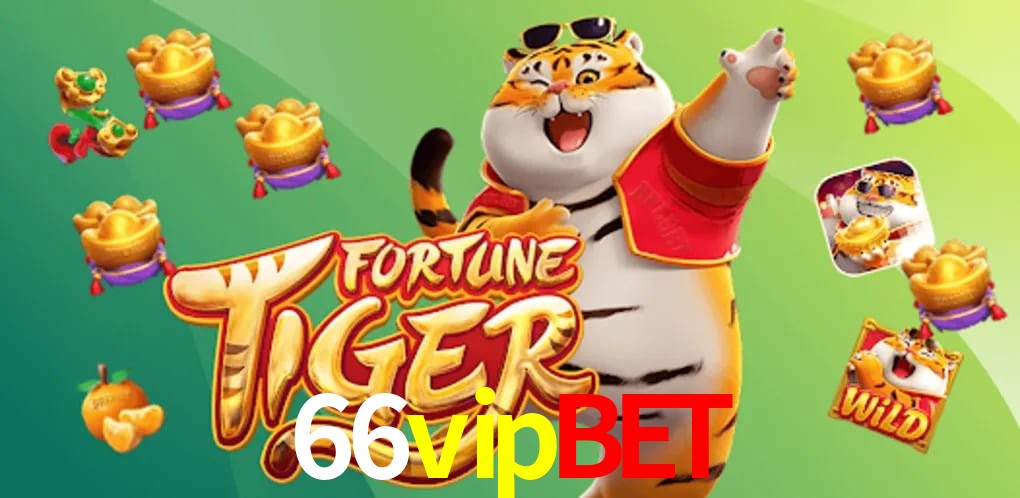 Experiência VIP 66vipbet